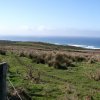 Point Reyes 12